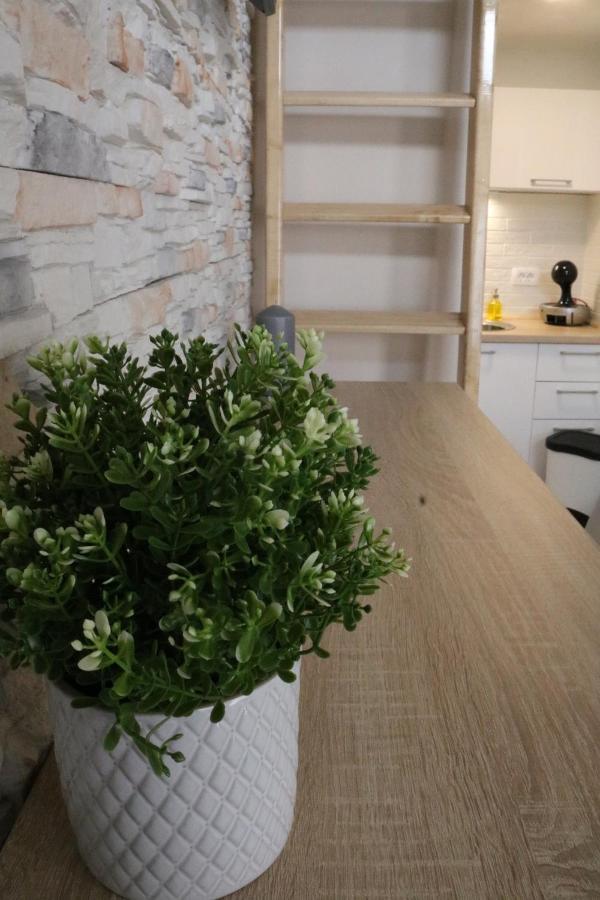 Studio Apartman Chiara Zagrzeb Zewnętrze zdjęcie